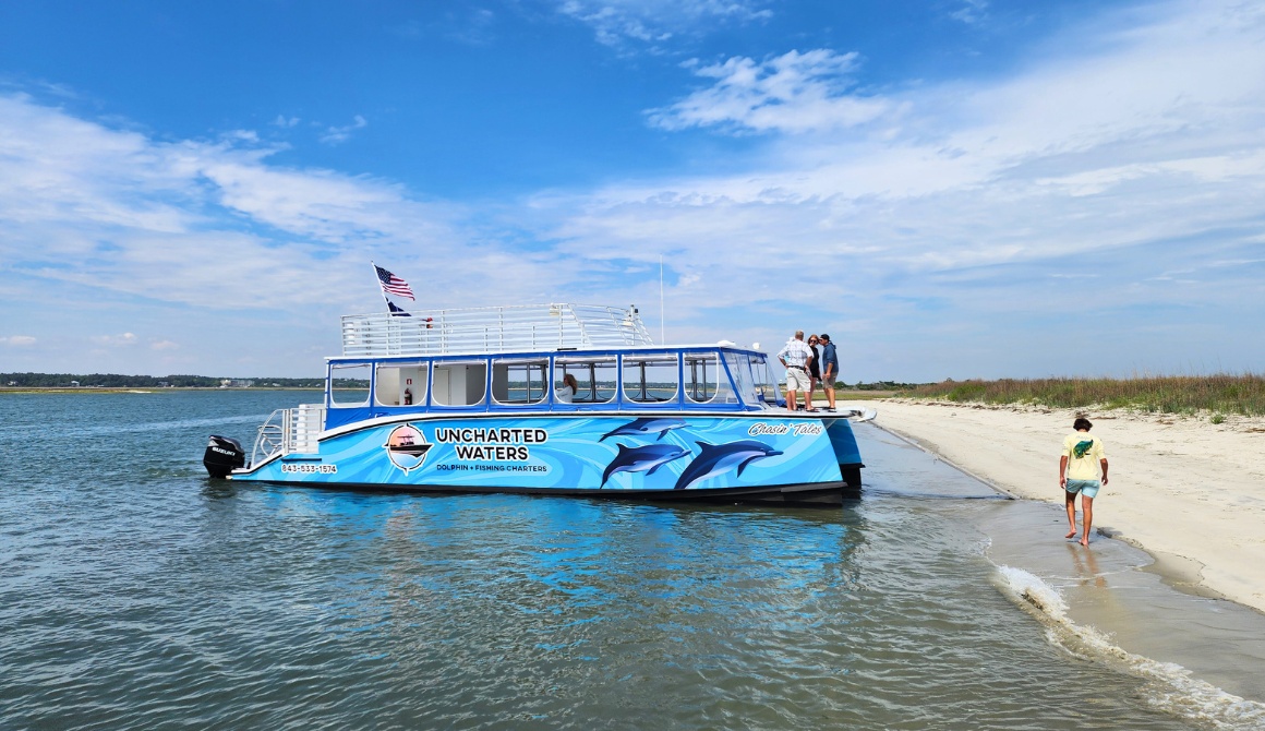 Up-close dolphin cruises, public dolphin cruises, and private island charters