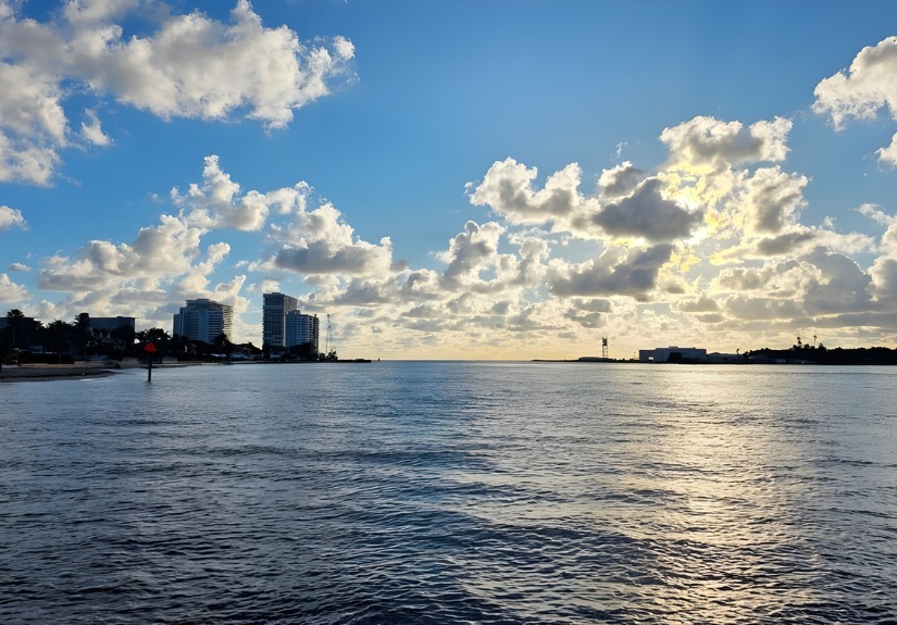 Dolphins jumping out of water on a private dolphin tour.